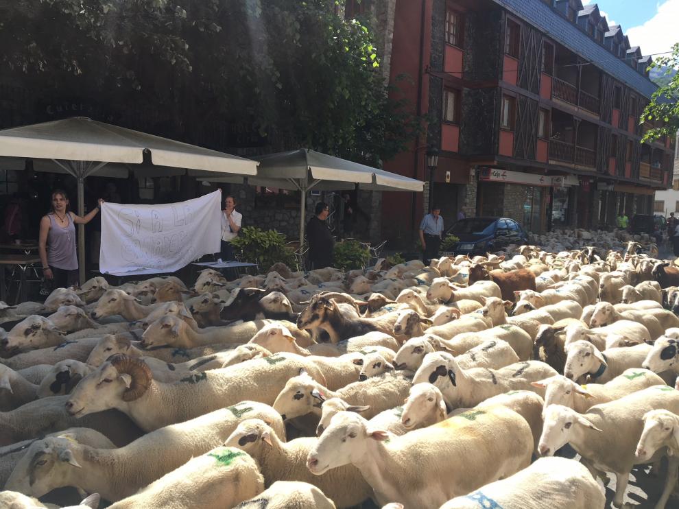 Los ganaderos de Benasque protestan contra el lobo