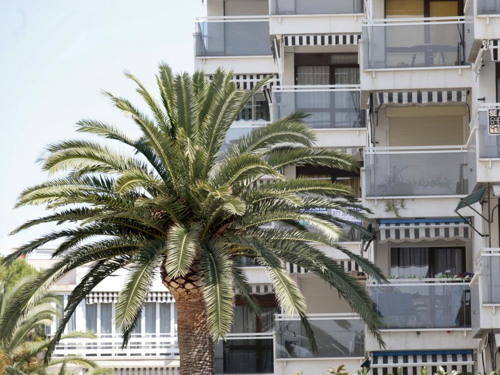 Apartamentos turísticos en alquiler en primera linea de playa en Salou.