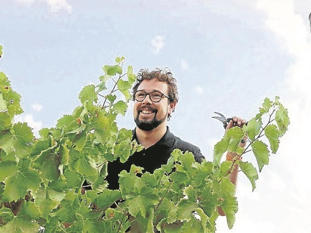 Fernando Mora, entre viñas.