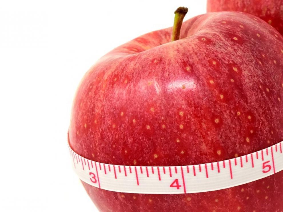 ¿Qué es la grasa marrón y la diabetes? ¿Qué es la grasa marrón y la diabetes?