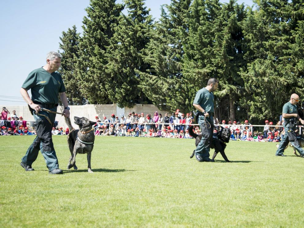 Exhibición de perros de la Guardia Civil, en una imagen de archivo.