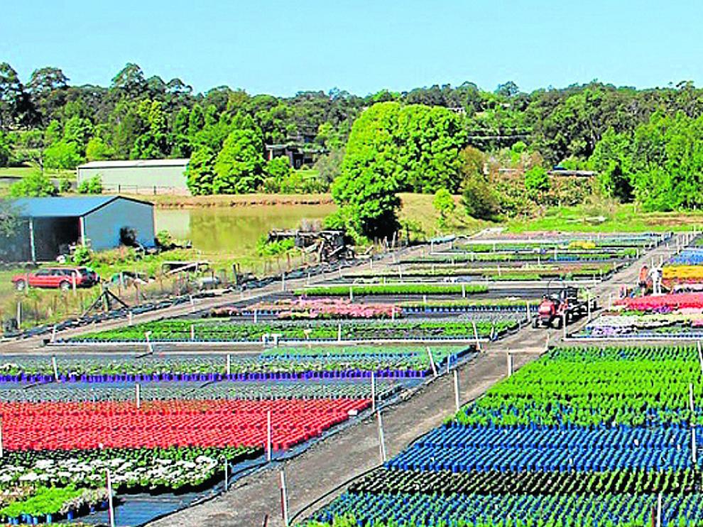 Vista general del vivero de Australia en el que puede verse la red de sensores instalada por la aragonesa Libelium, especializada en tecnología del Internet de las Cosas.
