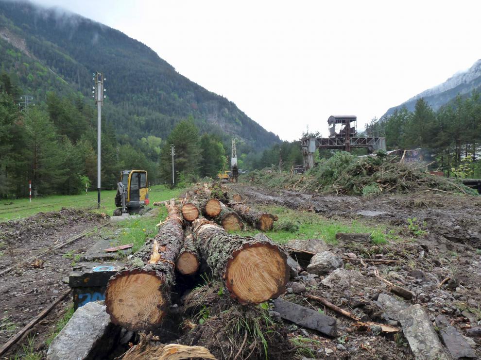 Los trabajos de desbroce en la estación de Canfranc comenzaron a finales del mes de mayo.