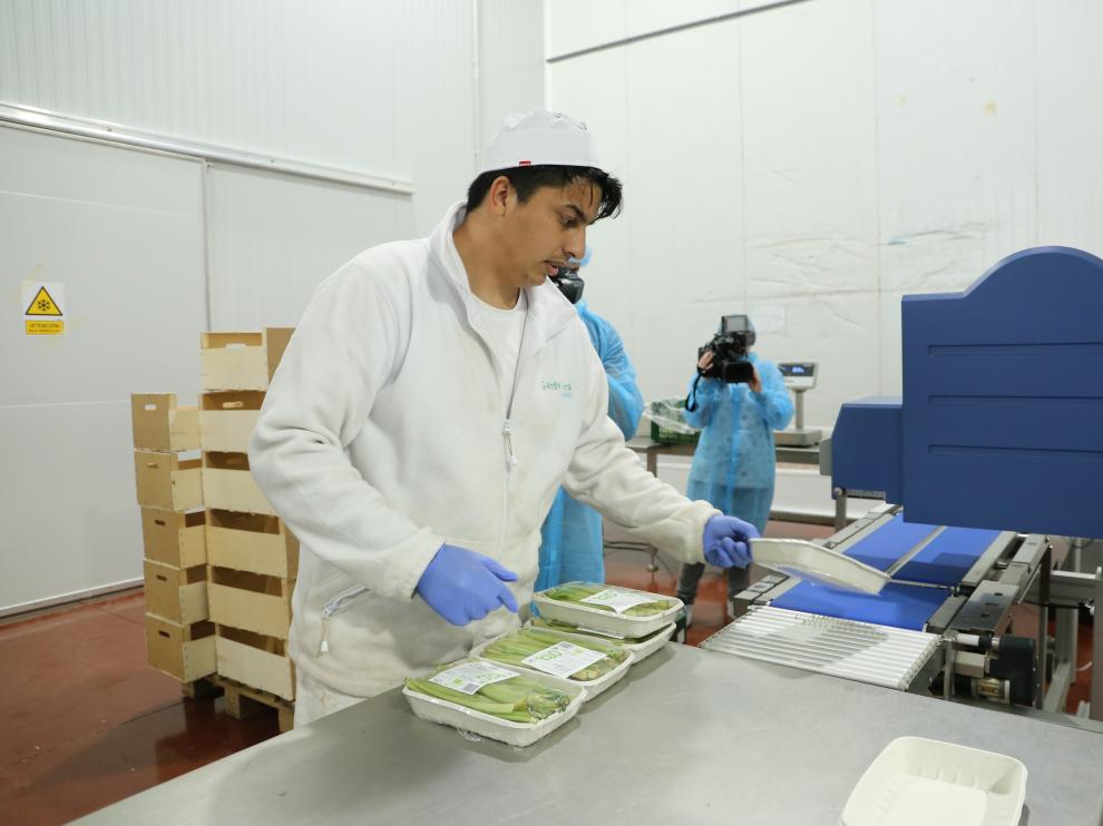 Instalaciones de la nueva conservera ecológica de Gardeniers en Zaragoza