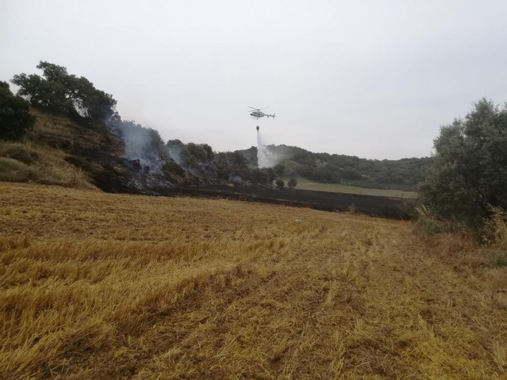 El incendio se ha originado cerca de una zona de pinos y carrascas.