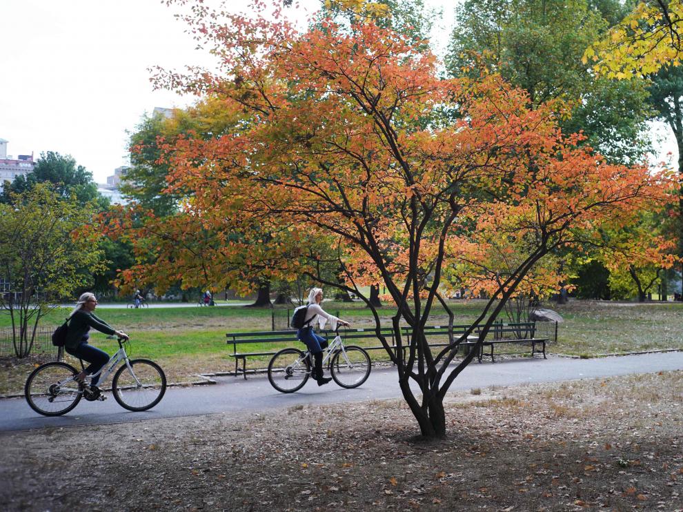 A partir de ahora, los semáforos regularán las bicicletas que circulen por el parque.