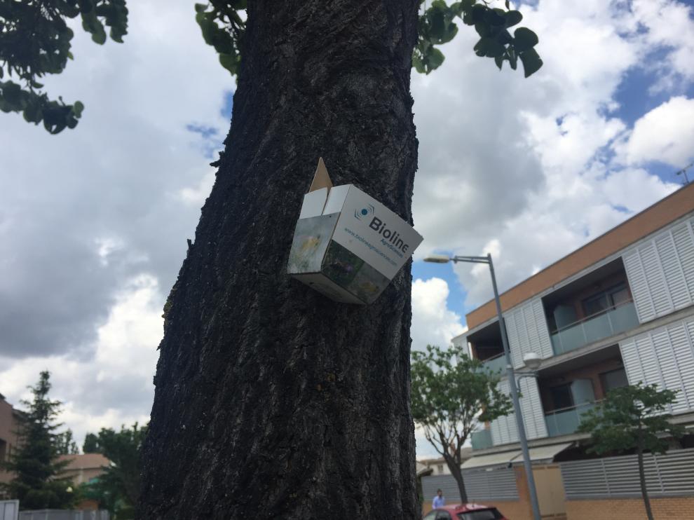 El control de plagas de Barbastro es una medida preventiva que no utiliza productos químicos.