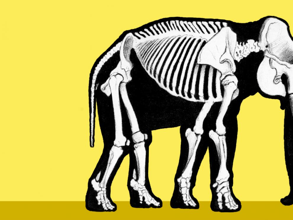 Lakoff pidió a sus alumnos que no pensasen en un elefante...