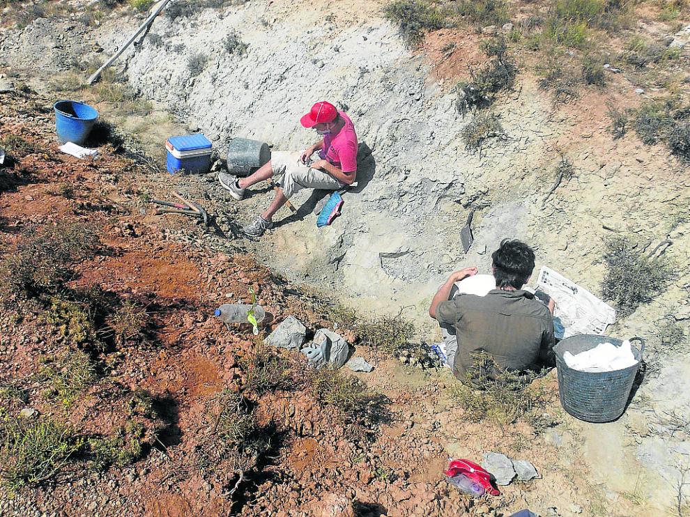 Paleontólogos, en las excavaciones en el yacimiento de Las Zabacheras, en Galve.