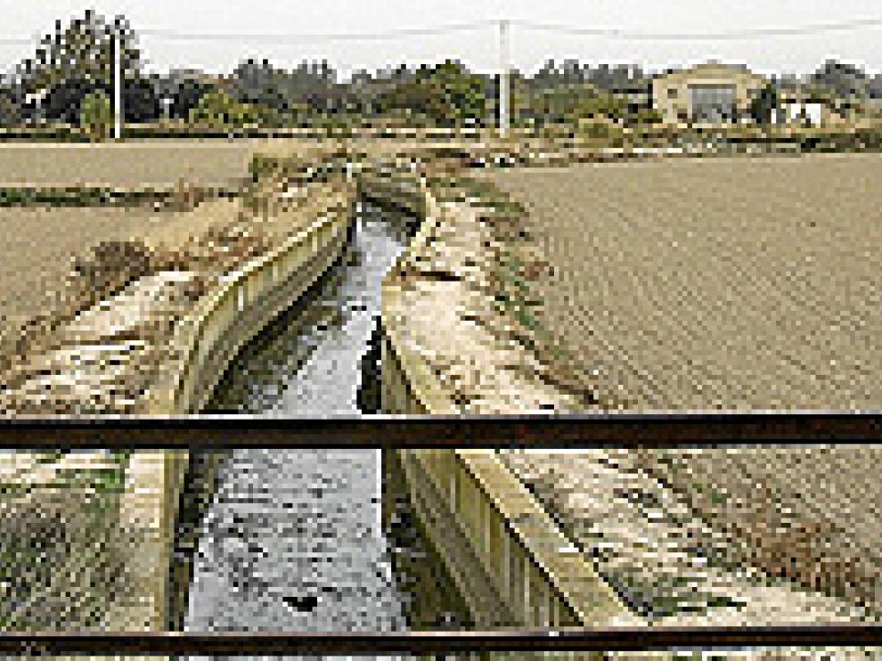 limpian21