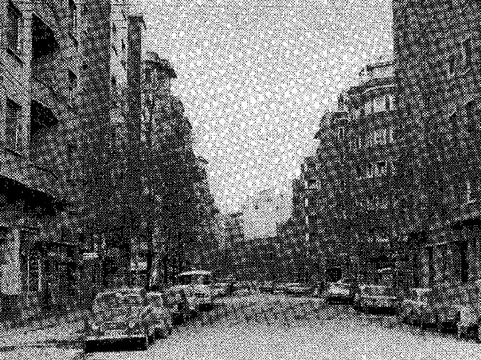 Leon1