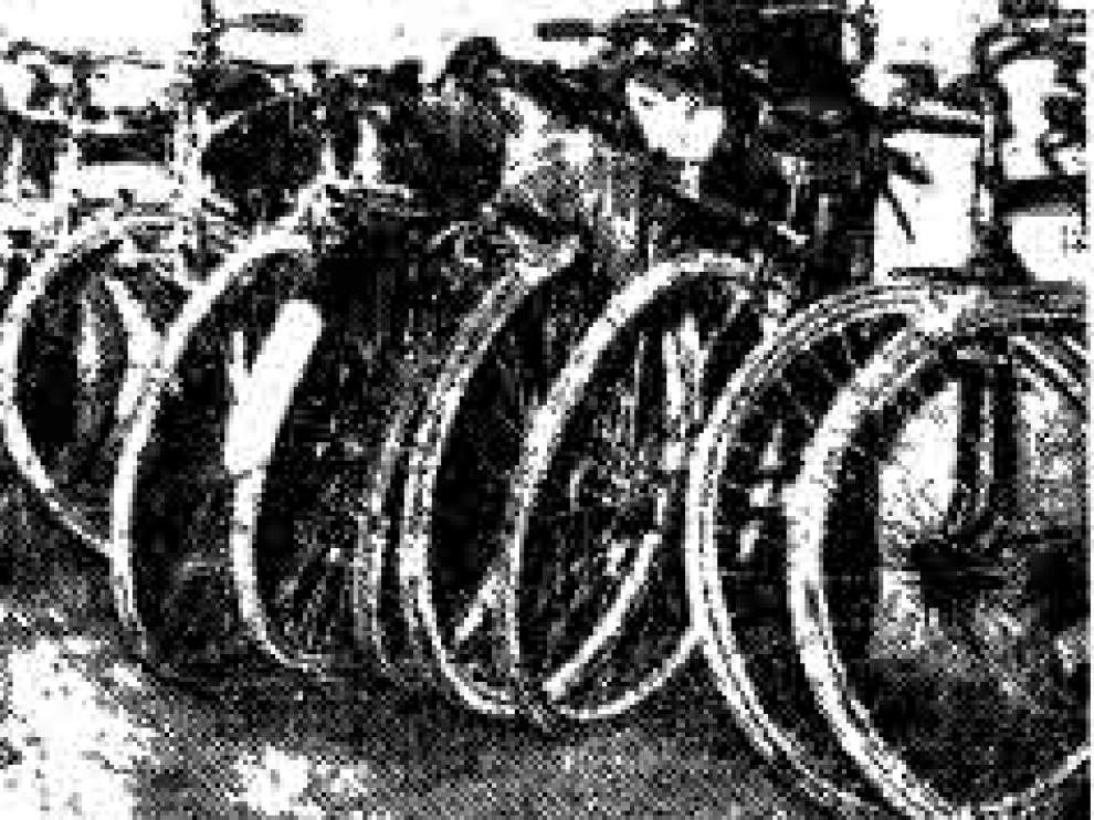 bici-copia