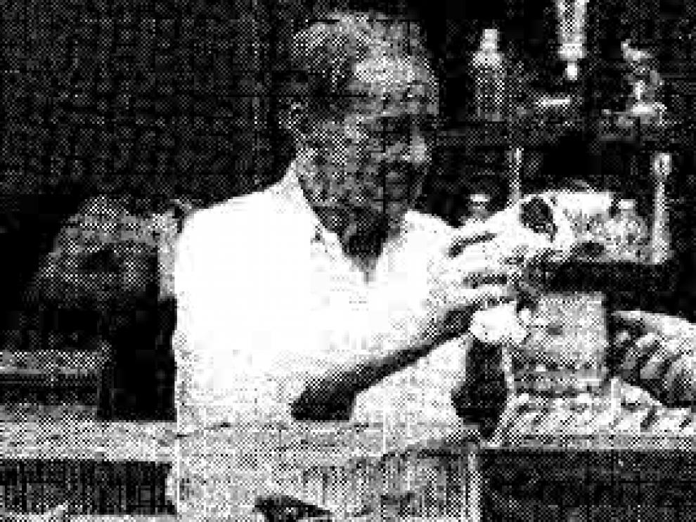 pajarero
