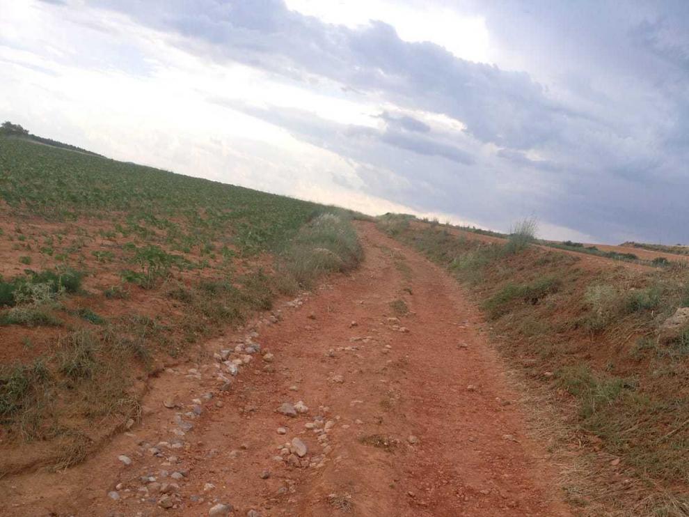Estado en el que se encuentran los caminos de acceso a las fincas de Villarroya del Campo.