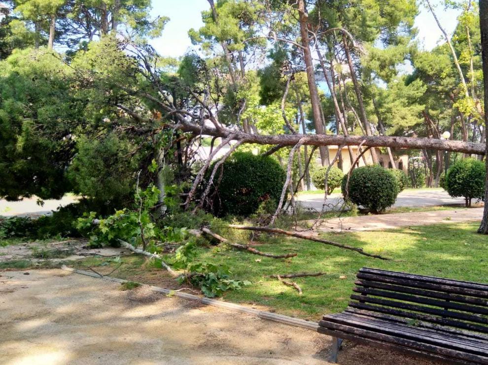 Zaragoza después de la tormenta