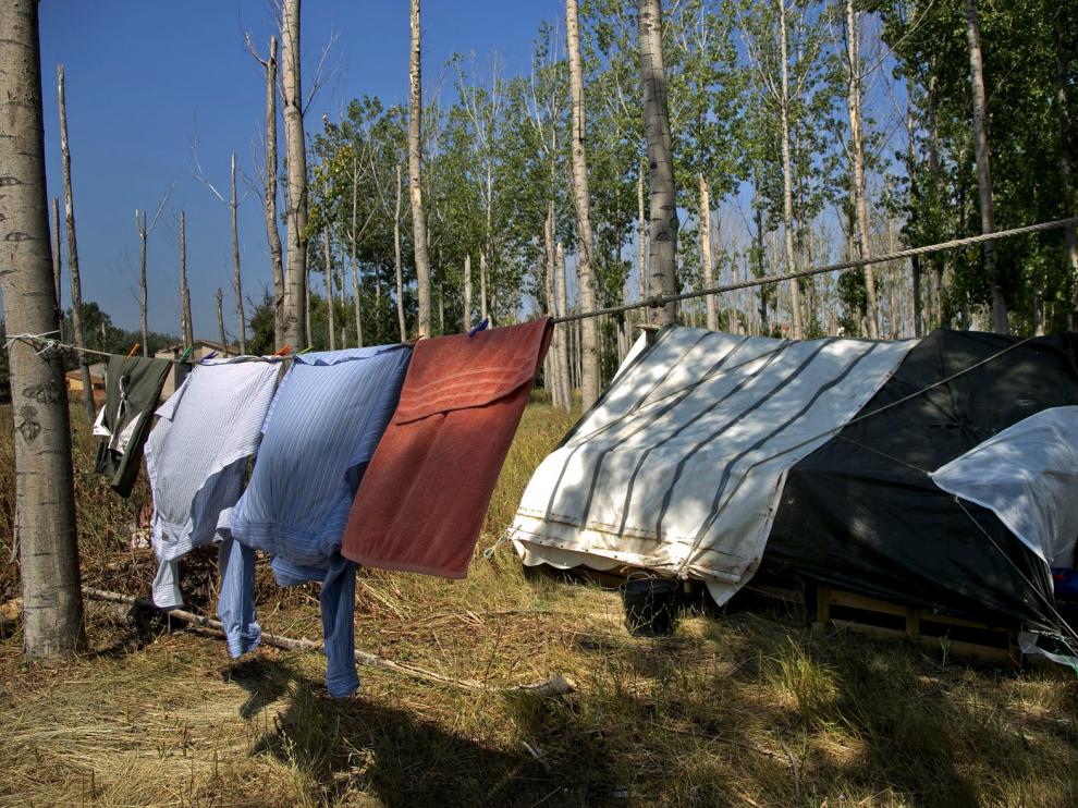 Acampada en una chopera próxima al río Jalón, uno de los asentamientos ilegales de los temporeros en Valdejalón.