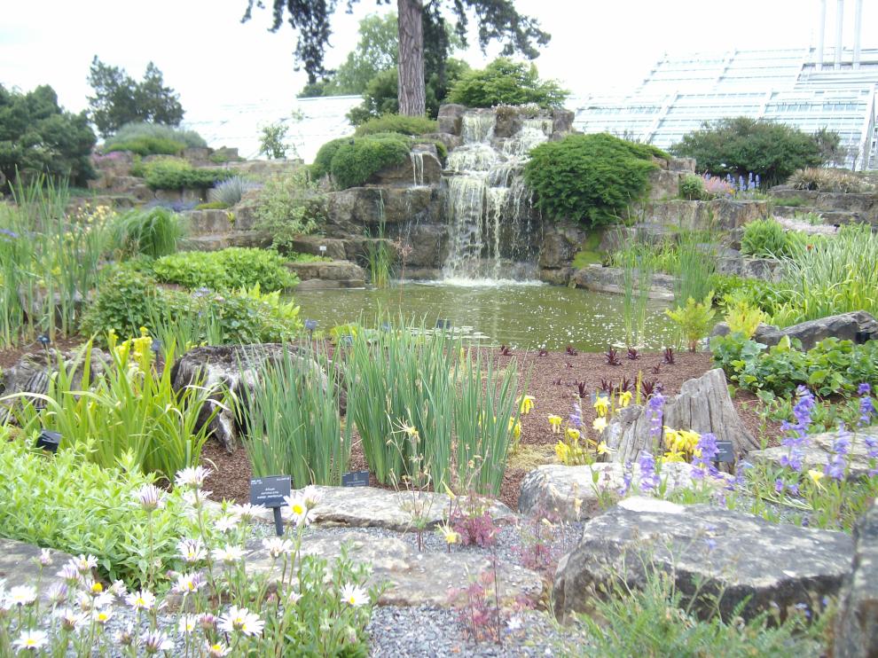Un jardín holístico