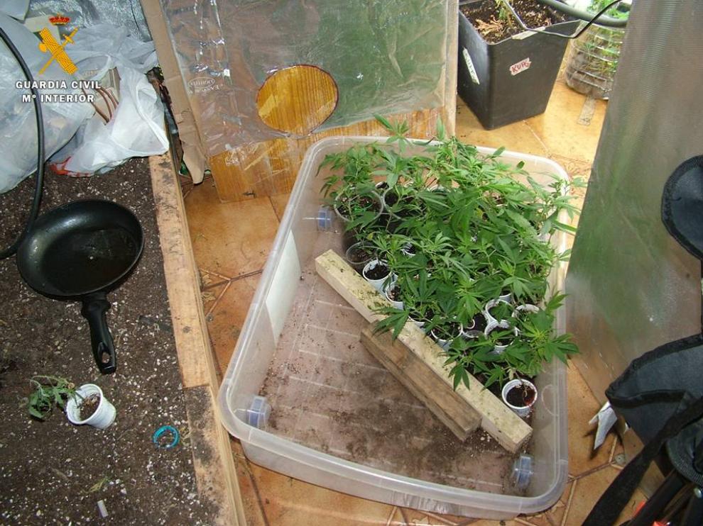 Desmantelado un punto de venta de drogas en una vivienda de Alagón