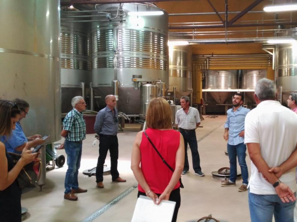 Miembros del proyecto Almoecowine en las instalaciones de la cooperativa San Nicolás de Tolentino
