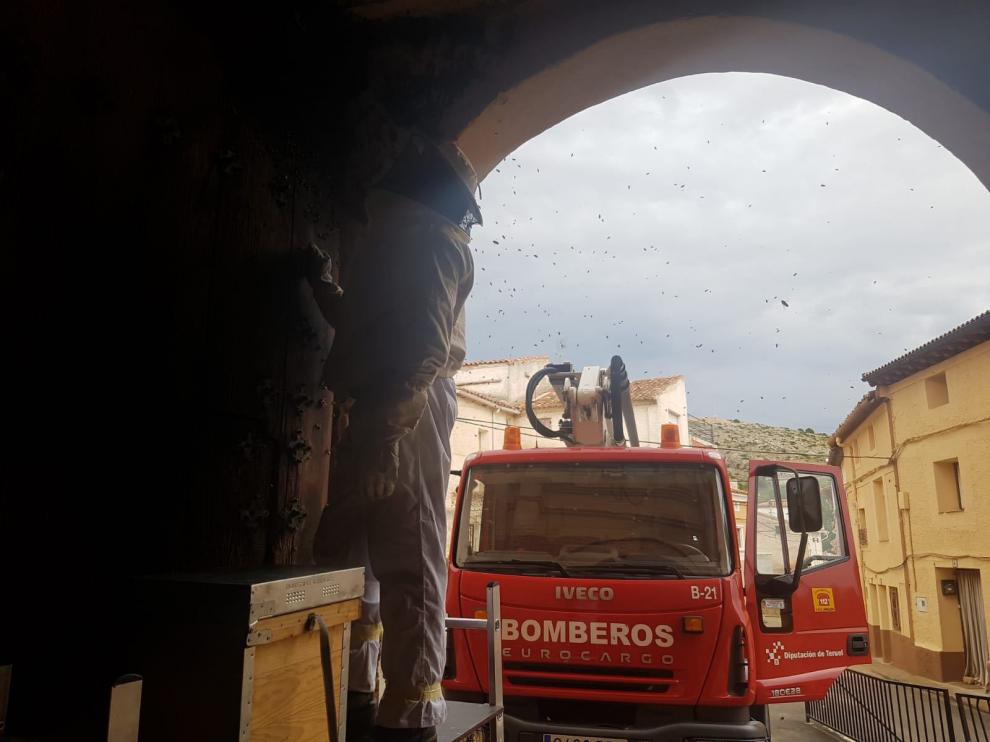 Los bomberos de la DPT, durante una intervención para retirar un enjambre de abejas.