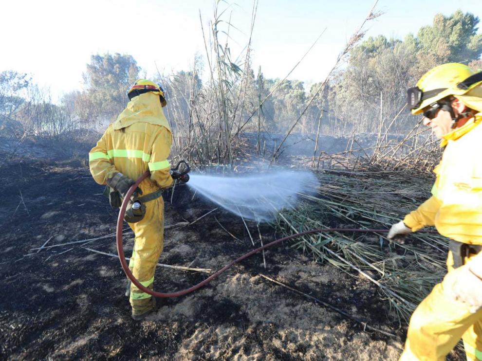 Agentes forestales en las tareas de extinción del incendio de Alcalá del Obispo.