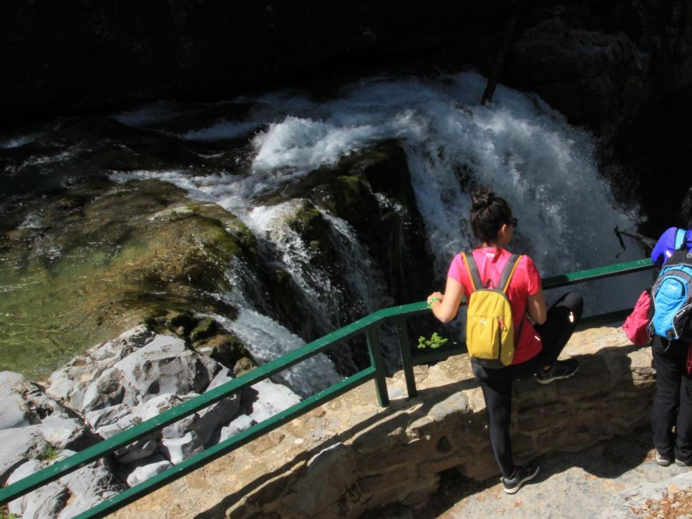 Las cascadas nos harán disfrutar durante toda la excursión al nacimiento del río Arazas.