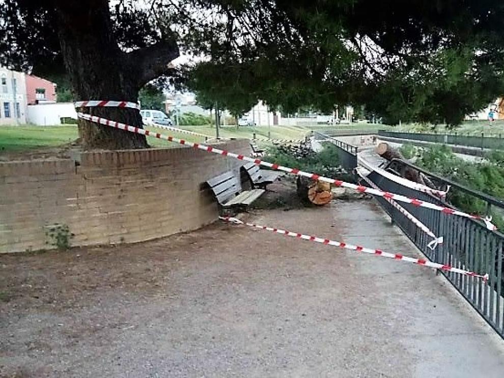 La rama cayó sobre la valla del río Isuela y rompió dos tramos