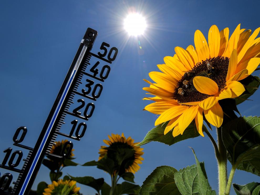 El aumento de las muertes por olas de calor se vería mitigado al limitar las emisiones de gases de efecto invernadero.
