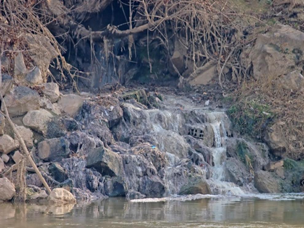 Las aguas del Ebro, a su paso por Movera