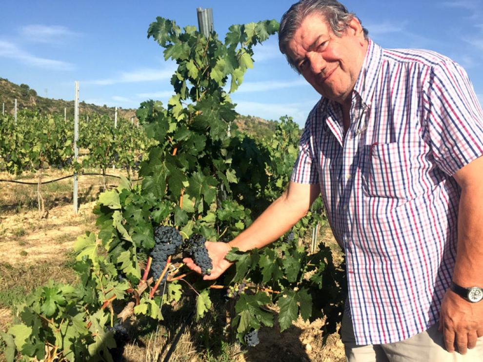 Ignacio Guallart, en su finca, donde se cultiva el vino que luego embotella bajo la marca Bodegas IGV.