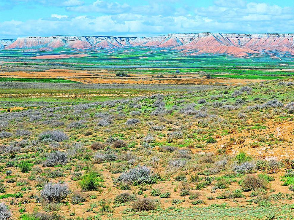 El paisaje estepario de la reserva ornitológica del Planerón, junto a Belchite.