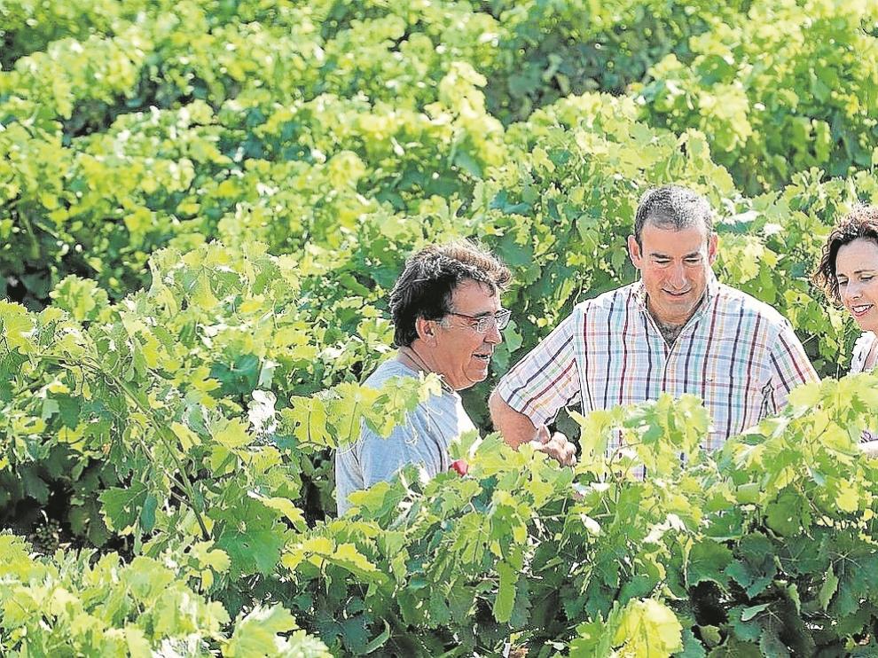Antonio Artal (Ecolécera), Florentino Alfonso (M. Alfonso) y Paula Yago (B. Tempore).