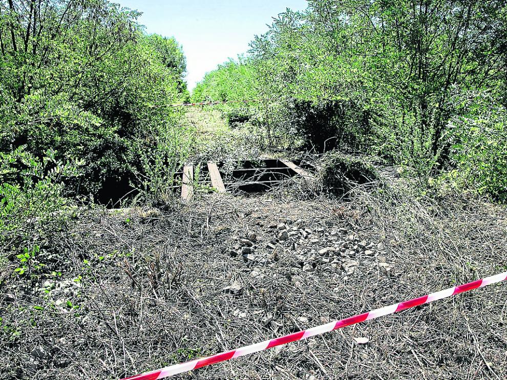 En el camino natural cercano a la localidad de Daroca se han localizado varios trabajos de desbroce