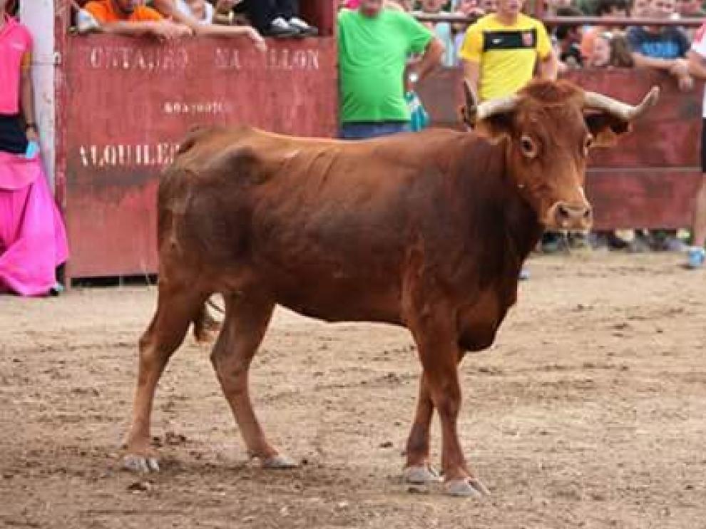 Imagen de archivo de un unos festejos taurinos.