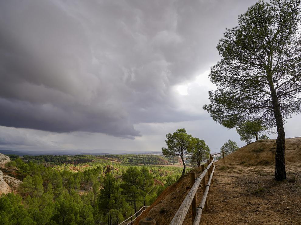 El parque de las Arcillas de Teruel, repoblado con pinos.