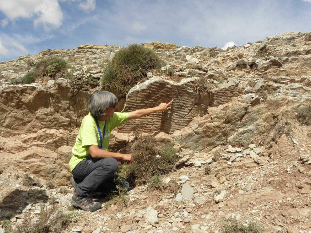 Imagen de huellas de ondas dejadas por el oleaje en las rocas de la Formación Aguilar del Alfambra, en sus afloramientos de Aguilar del Alfambra.