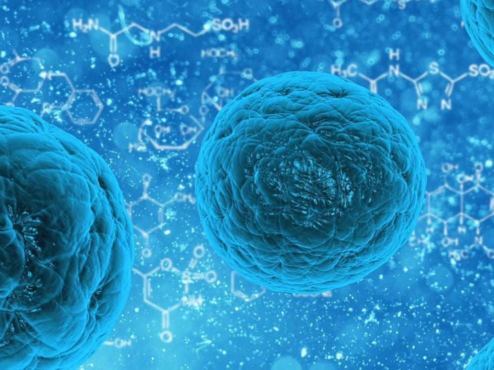 'Celyvir' ha demostrado el efecto antitumoral de virus oncolíticos escondidos en células madre mesenquimales.