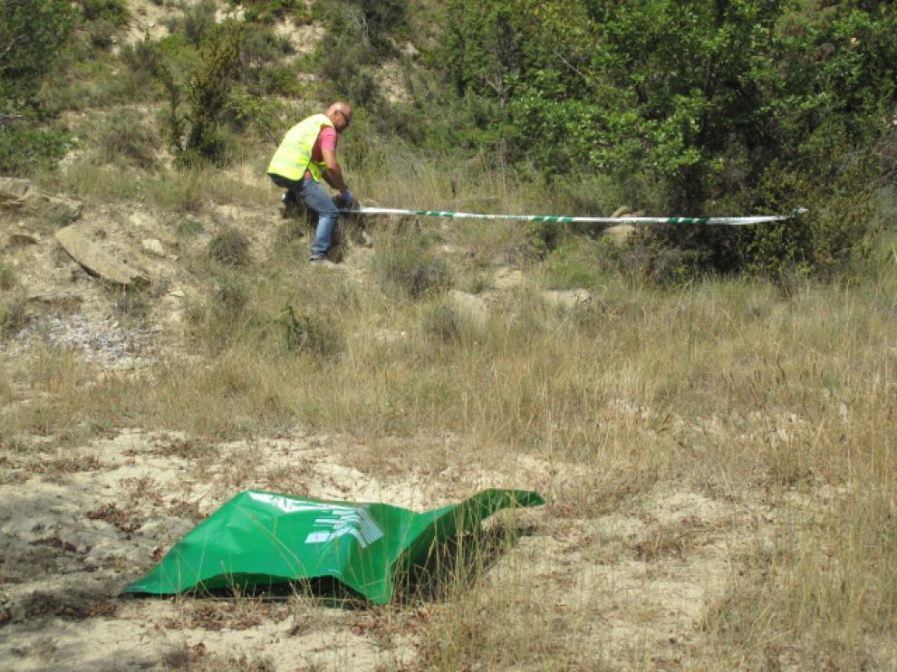 El Seprona localizó el cadáver del perro en avanzado estado de descomposición
