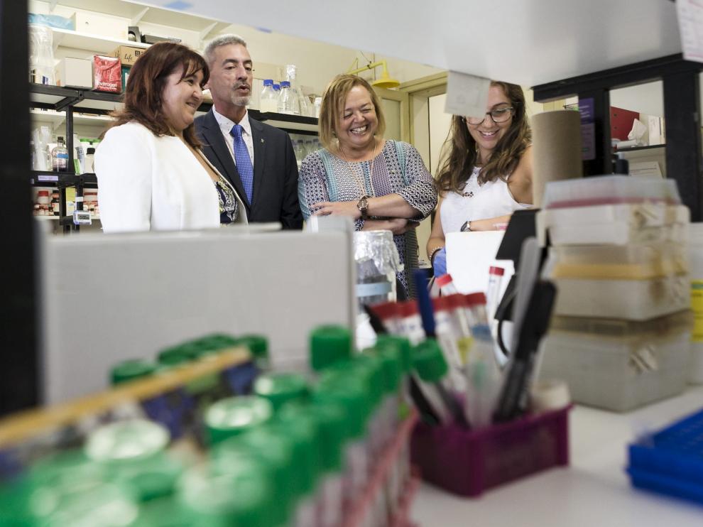 La presidenta del CSIC, Rosa Menéndez (segunda por la derecha), conoció este miércoles de primera mano el trabajo que se lleva a cabo en la Estación Experimental de Aula Dei de Zaragoza, que el próximo enero celebrará su 75 aniversario. Estuvo acompañada por la delegada del CSIC en Aragón, María Jesús Lázaro (primera por la izquierda) y el director de este centro, Jesús Val.