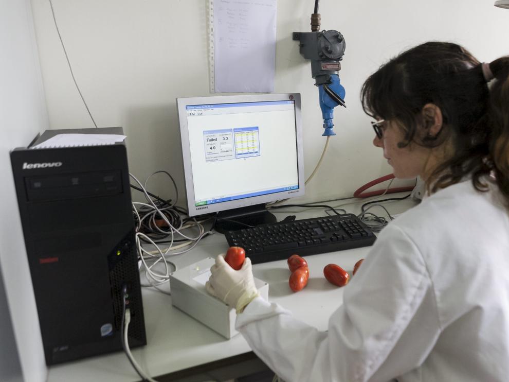 La presidenta del CSIC visita los institutos de investigación de Aragón