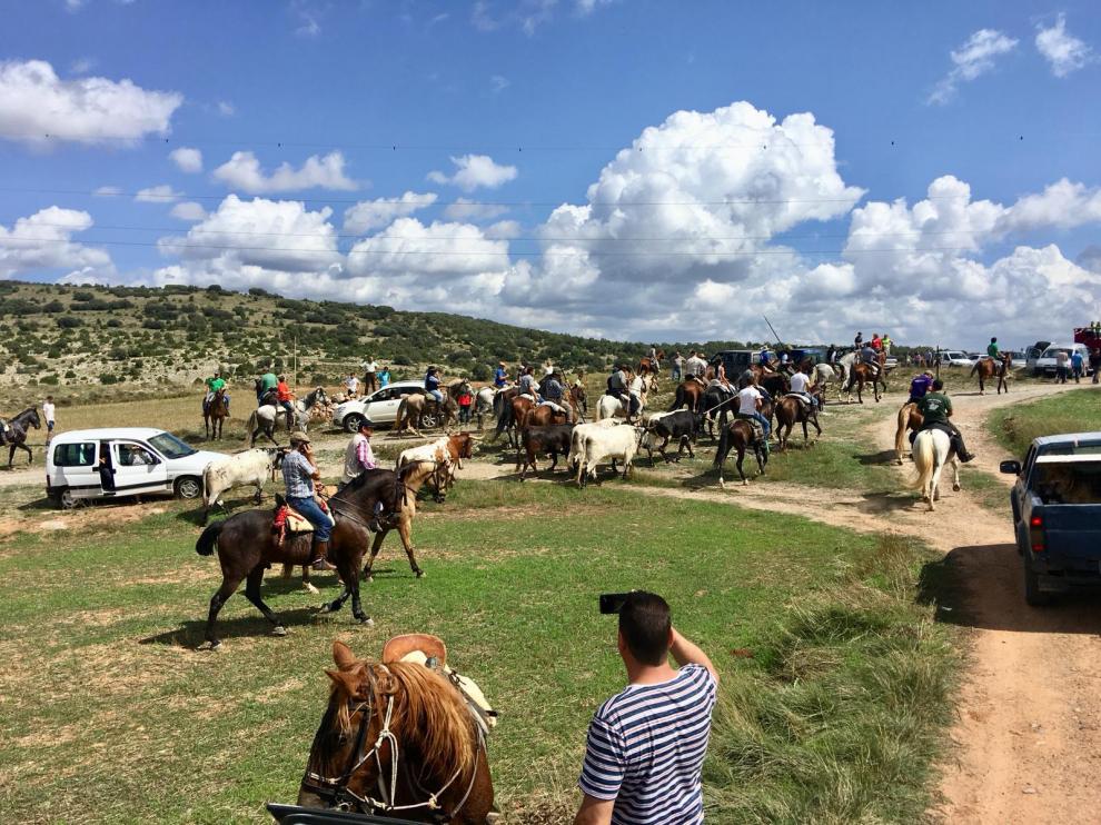 Jinetes, caballos y reses bravas se acercan a La Puebla de Valverde en el encierro.