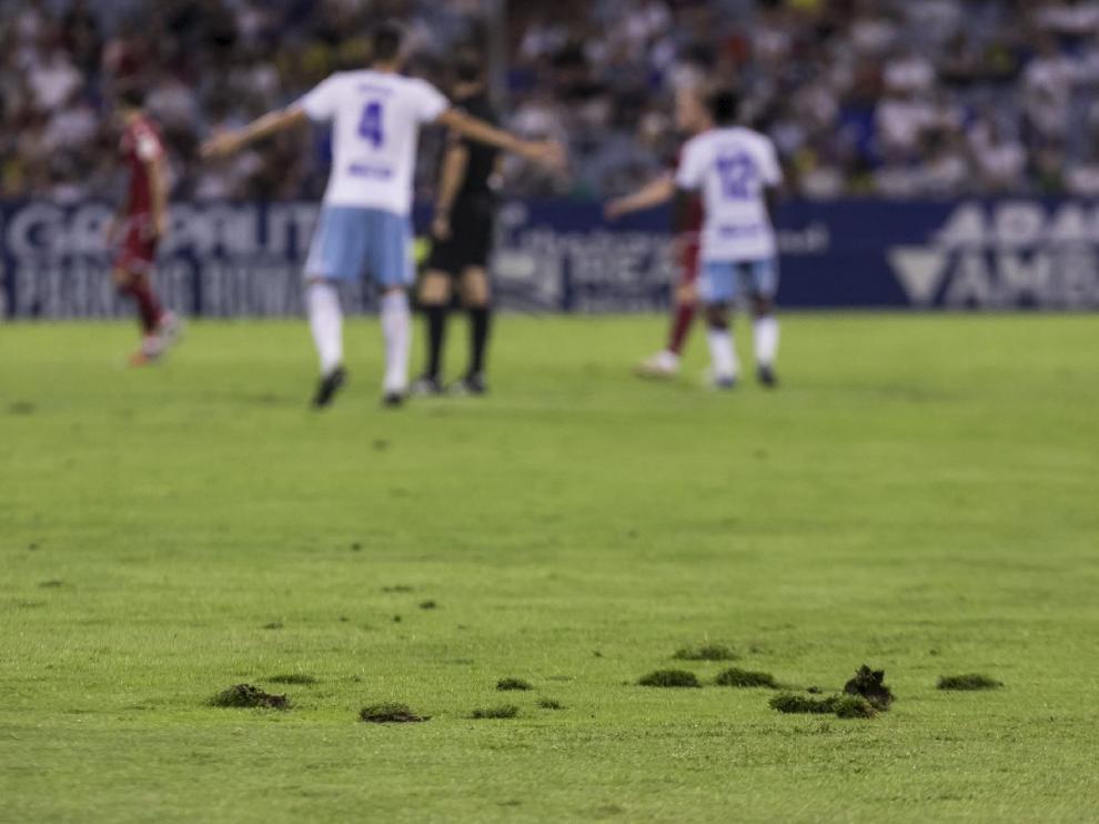 Imagen del césped de La Romareda hace unas horas durante el Real Zaragoza-Dep. Coruña de Copa del Rey. Así se levanta la hierba en todos los puntos del campo en cada partido.