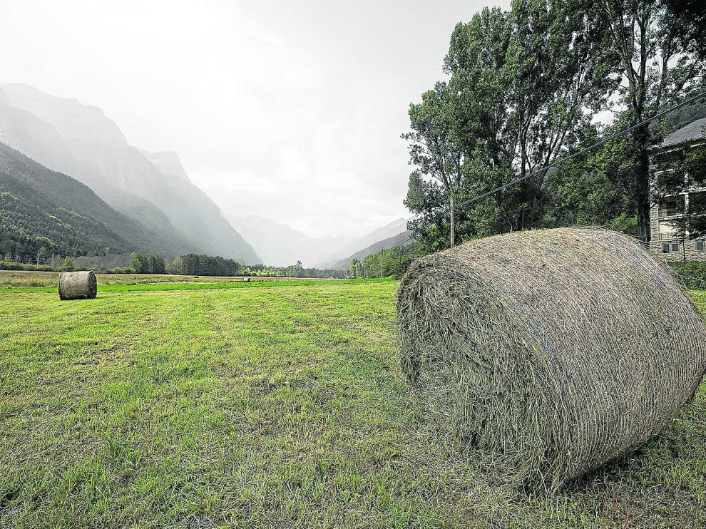 Pradera frente a La Casa de Pineta.