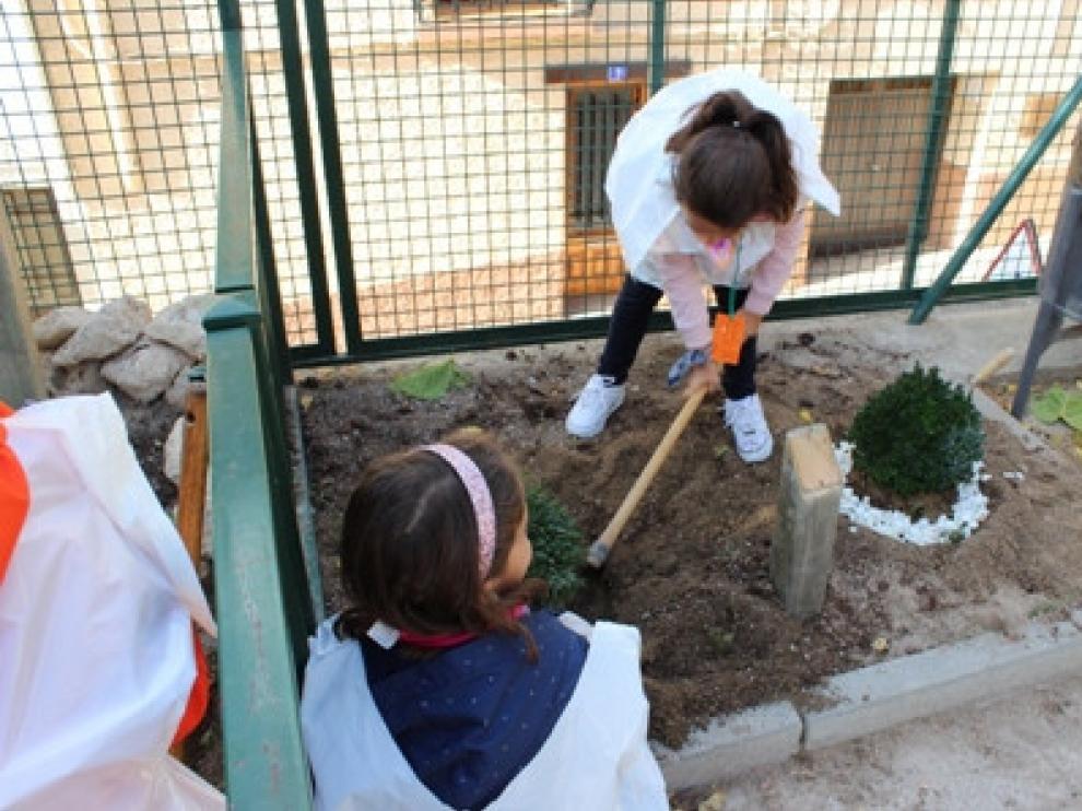 La agricultura sostenible fue el tema central de la Ecofiesta 2017, en Beceite.