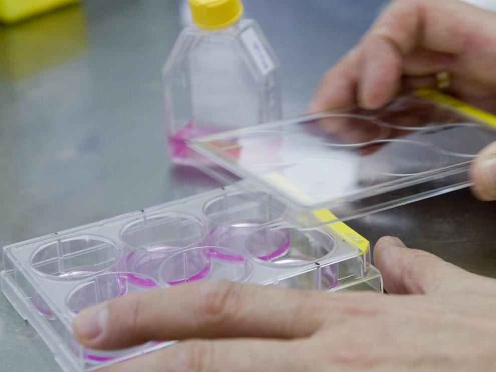Foto de archivo de un investigador en uno de los laboratorios de la Universidad de Zaragoza