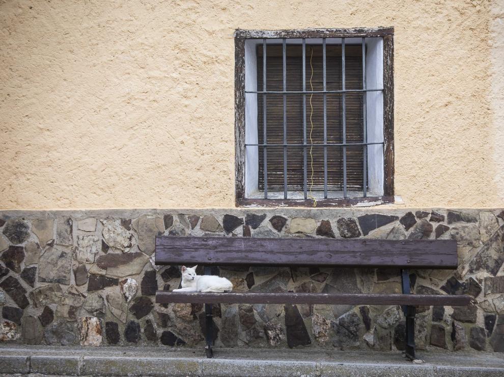 Estampa en las calles de Luesma