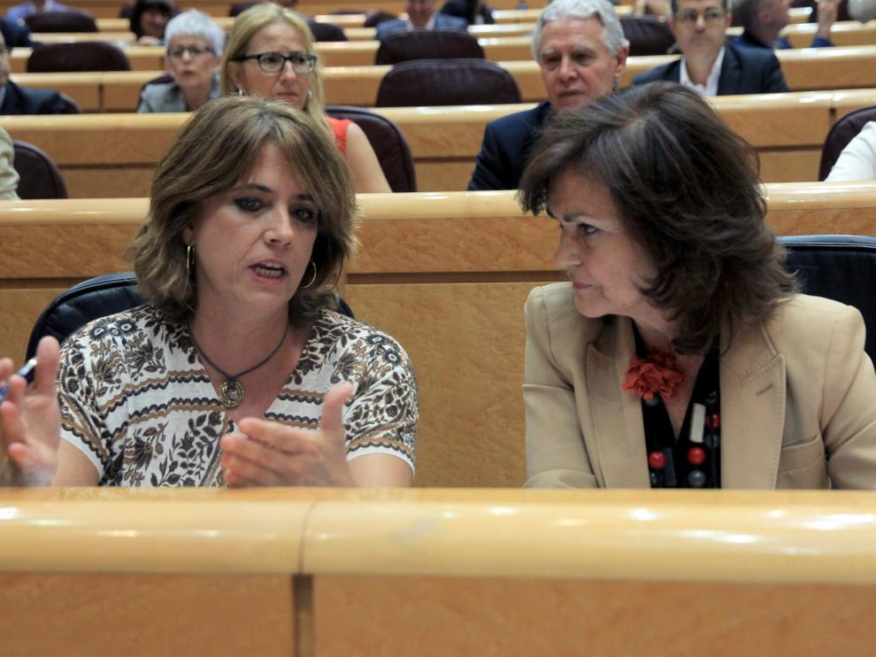 Delgado, en el Senado.
