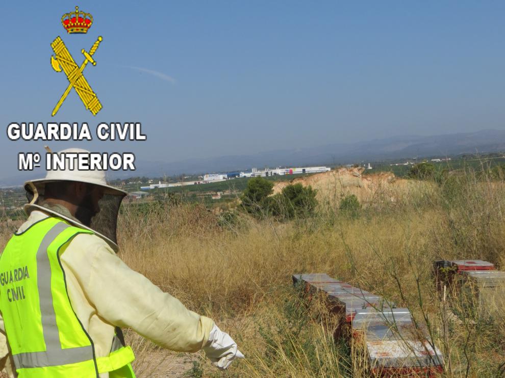 Un agente de la Guardia Civil inspecciona algunas de las colmenas intervenidas.