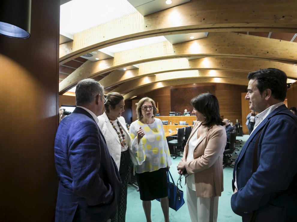 Pilar Ventura en la última Comisión de Sanidad de las Cortes.