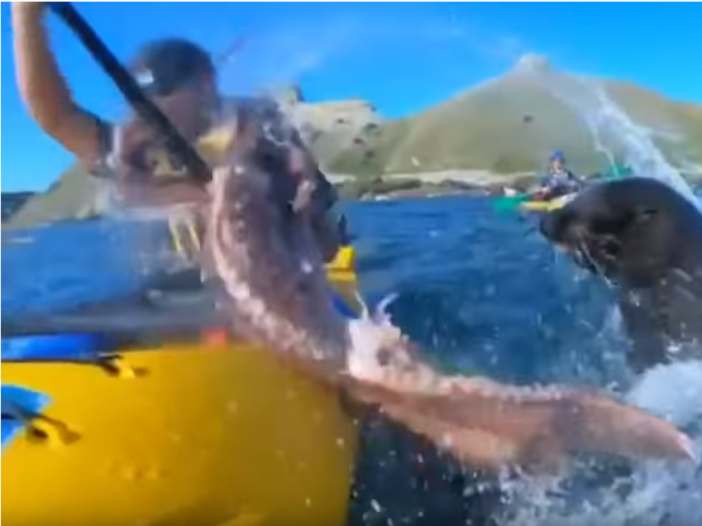 Imagen obtenida del vídeo.